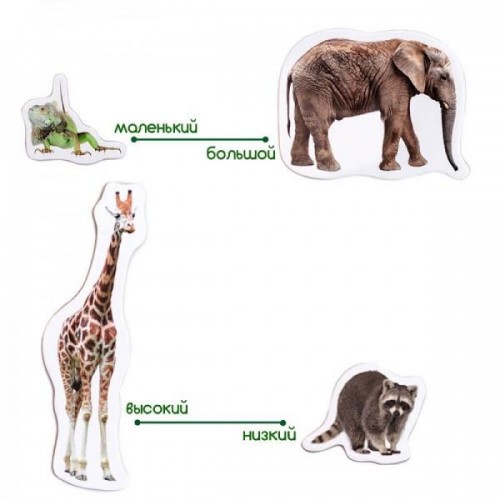 Животные на магните Зоо Magnetic set Zoo photo ML4031-02 Масик