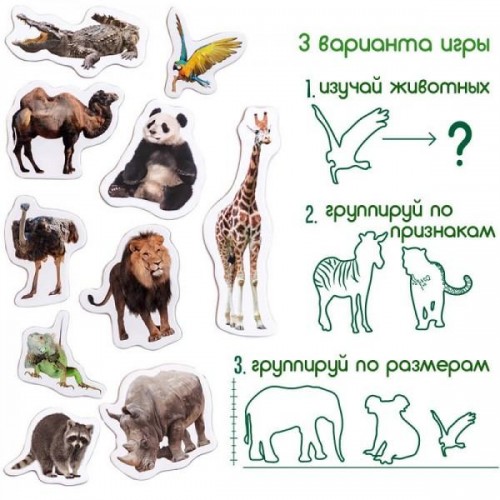 Животные на магните Зоо Magnetic set Zoo photo ML4031-02 Масик