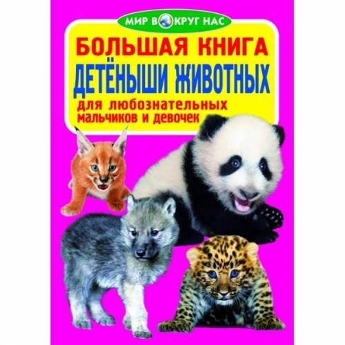 Книга велика Світ навколо нас 22574 Україна російською мовою